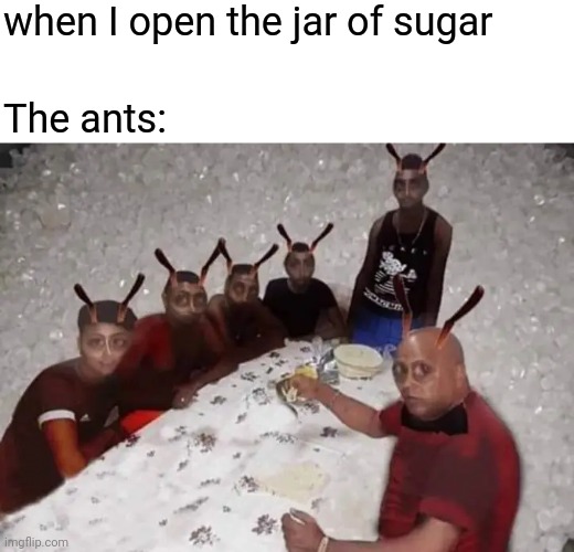 Antes partie | when I open the jar of sugar; The ants: | image tagged in sugar | made w/ Imgflip meme maker