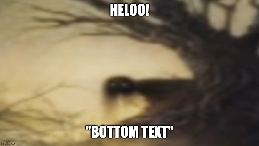 HELOO! "BOTTOM TEXT" | image tagged in heloo | made w/ Imgflip meme maker