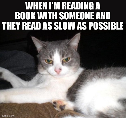 I read fast | WHEN I’M READING A BOOK WITH SOMEONE AND THEY READ AS SLOW AS POSSIBLE | image tagged in impatient kitty | made w/ Imgflip meme maker