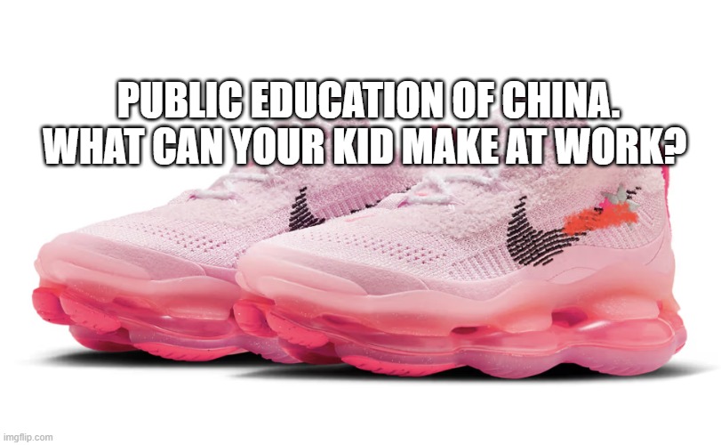 Nike Scorpion x Barbie | PUBLIC EDUCATION OF CHINA. WHAT CAN YOUR KID MAKE AT WORK? | image tagged in nike scorpion x barbie | made w/ Imgflip meme maker