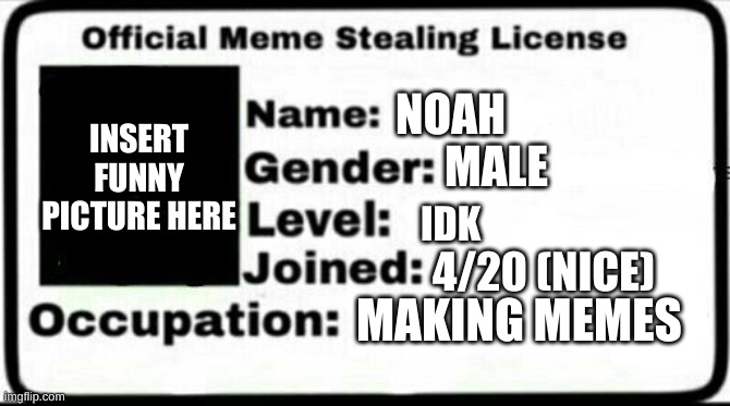 It is now legal for me to steal memes | INSERT FUNNY PICTURE HERE; NOAH; MALE; IDK; 4/20 (NICE); MAKING MEMES | image tagged in meme stealing license | made w/ Imgflip meme maker