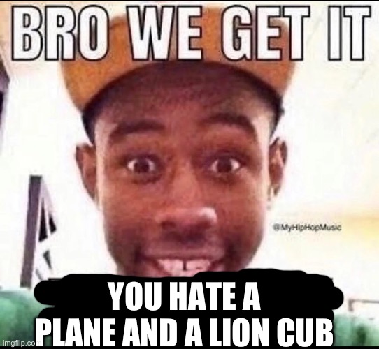 BRO WE GET IT YOU'RE GAY | YOU HATE A PLANE AND A LION CUB | image tagged in bro we get it you're gay | made w/ Imgflip meme maker