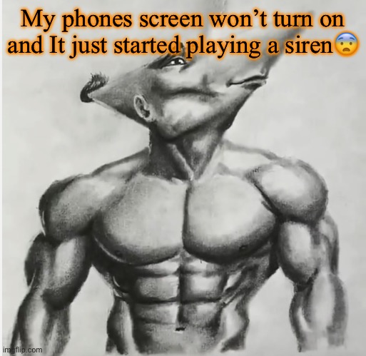 Jdj | My phones screen won’t turn on and It just started playing a siren😨 | image tagged in jdj | made w/ Imgflip meme maker