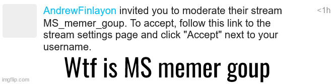 Wtf is MS memer goup | made w/ Imgflip meme maker