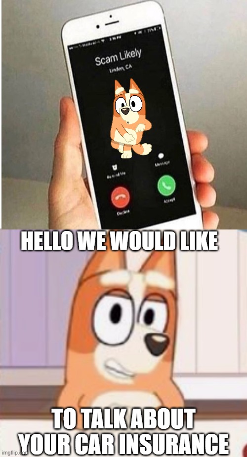 ayo little dog callin' | HELLO WE WOULD LIKE; TO TALK ABOUT YOUR CAR INSURANCE | image tagged in bingo,scam,memes,funny memes,lolz,bluey | made w/ Imgflip meme maker