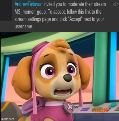 Shocked Skye | image tagged in shocked skye | made w/ Imgflip meme maker
