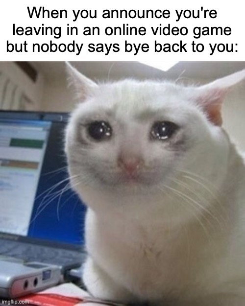 :( | When you announce you're leaving in an online video game but nobody says bye back to you: | image tagged in crying cat,sad,funny,memes,online gaming | made w/ Imgflip meme maker