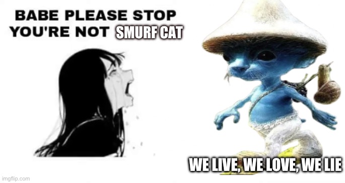 We live, we love, we lie | SMURF CAT; WE LIVE, WE LOVE, WE LIE | image tagged in smurfs | made w/ Imgflip meme maker