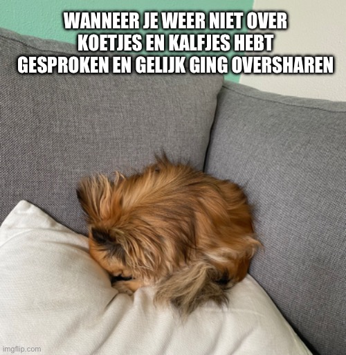 WANNEER JE WEER NIET OVER KOETJES EN KALFJES HEBT GESPROKEN EN GELIJK GING OVERSHAREN | made w/ Imgflip meme maker