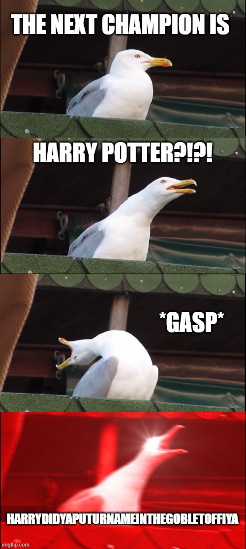 HARRYDIDYAPUTURNAMEINTHEGOBLETOFFIYA!!!!!!!!!!!!!!!!!!!!!! | THE NEXT CHAMPION IS; HARRY POTTER?!?! *GASP*; HARRYDIDYAPUTURNAMEINTHEGOBLETOFFIYA | image tagged in memes,inhaling seagull | made w/ Imgflip meme maker