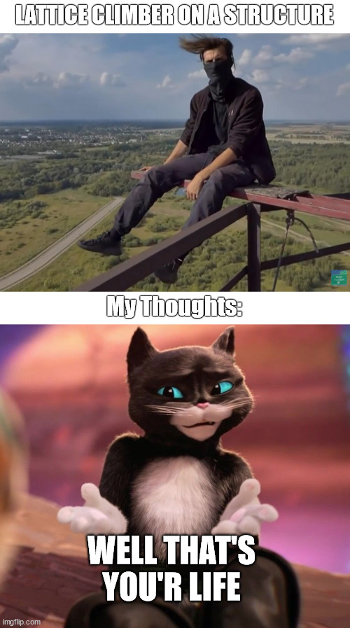 Puss in Boots 2, Shiey meme | LATTICE CLIMBER ON A STRUCTURE; My Thoughts:; WELL THAT'S YOU'R LIFE | image tagged in climbing,puss in boots,kitty,lattice climbing,shiey | made w/ Imgflip meme maker