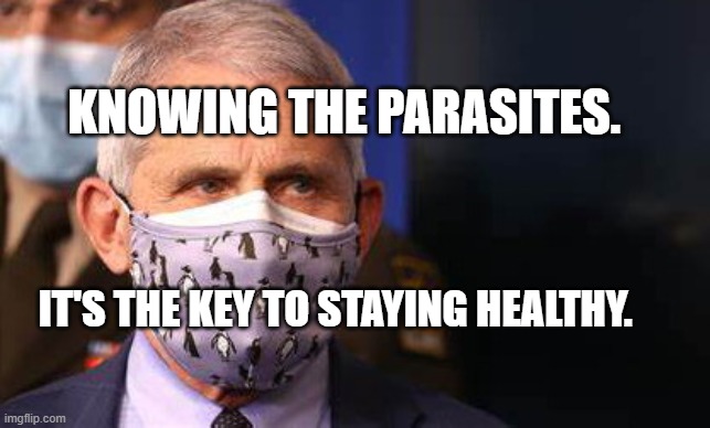 Angry diva Fauci | KNOWING THE PARASITES. IT'S THE KEY TO STAYING HEALTHY. | image tagged in angry diva fauci | made w/ Imgflip meme maker