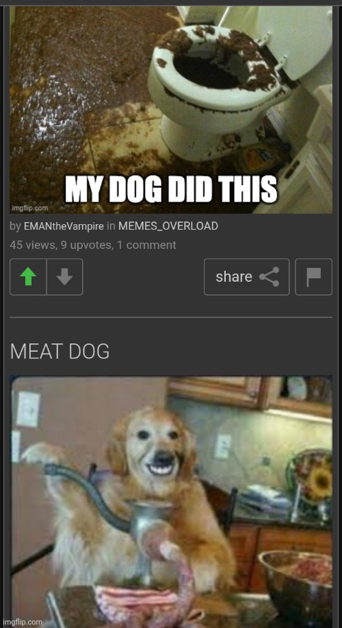 Something is wrong with that dog. | image tagged in cursed,dog | made w/ Imgflip meme maker
