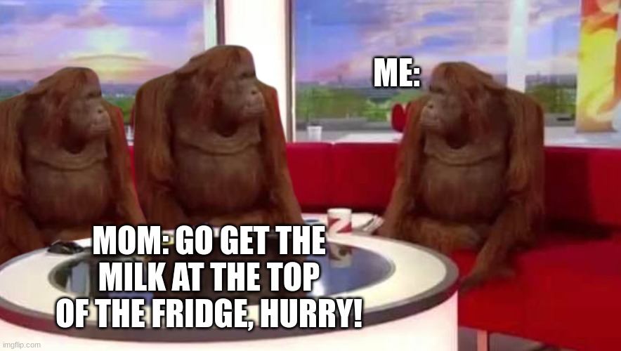 WHAT, Where the heck is it at! | ME:; MOM: GO GET THE MILK AT THE TOP OF THE FRIDGE, HURRY! | image tagged in where monkey | made w/ Imgflip meme maker
