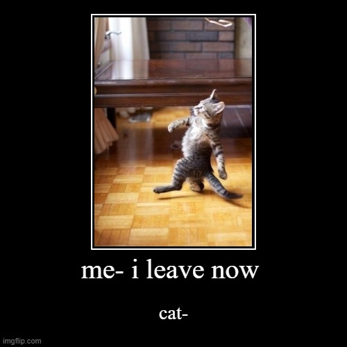 cat-where is that vase | me- i leave now | cat- | image tagged in funny,demotivationals,funny cats,memes,funny memes,destroy | made w/ Imgflip demotivational maker