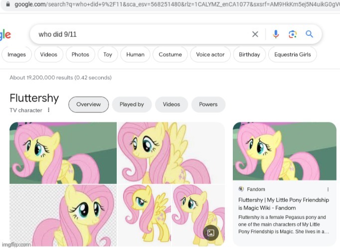 What did you do, fluttershy? | image tagged in fun,9/11,guny,mlp,fluttershy | made w/ Imgflip meme maker