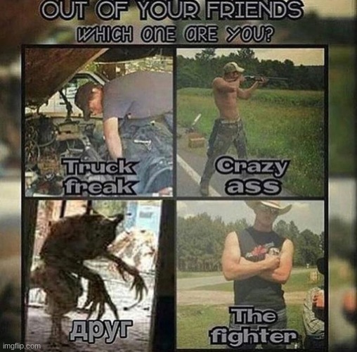 Out of your friends, which one are you? | image tagged in out of your friends which one are you | made w/ Imgflip meme maker