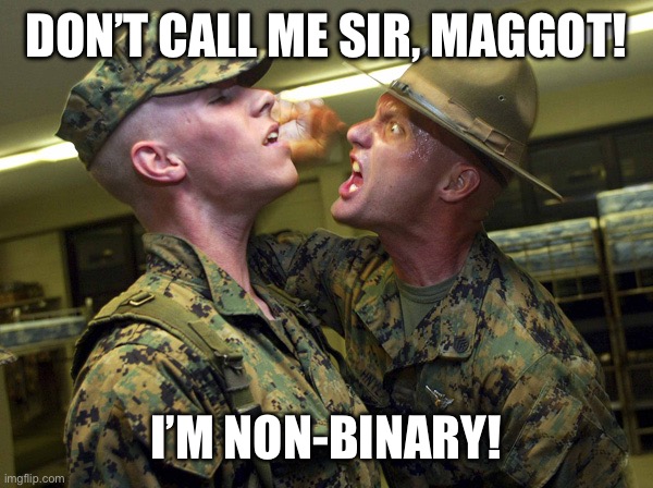 Drill Instructor | DON’T CALL ME SIR, MAGGOT! I’M NON-BINARY! | image tagged in drill instructor | made w/ Imgflip meme maker