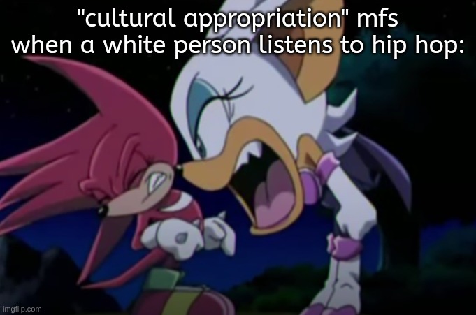 rouge yelling at knuckles | "cultural appropriation" mfs when a white person listens to hip hop: | image tagged in rouge yelling at knuckles | made w/ Imgflip meme maker
