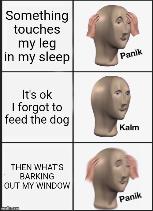 What the dog doin'? | Something touches my leg in my sleep; It's ok I forgot to feed the dog; THEN WHAT'S BARKING OUT MY WINDOW | image tagged in memes,panik kalm panik | made w/ Imgflip meme maker