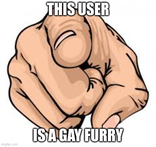 Finger Pointing to user | THIS USER IS A GAY FURRY | image tagged in finger pointing to user | made w/ Imgflip meme maker