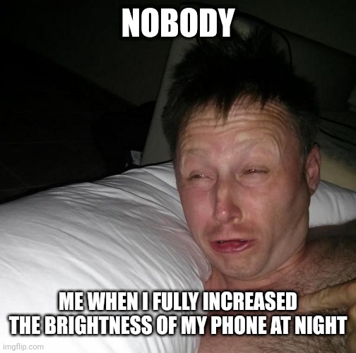 The brightness | NOBODY; ME WHEN I FULLY INCREASED THE BRIGHTNESS OF MY PHONE AT NIGHT | image tagged in meme | made w/ Imgflip meme maker