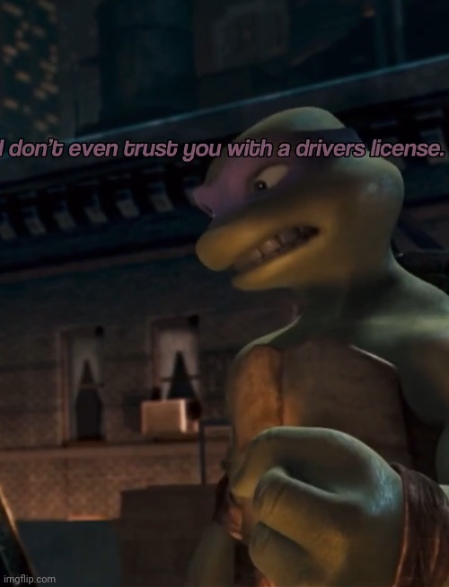 Drivers License.mp3 | image tagged in i don't even trust you with a drivers license | made w/ Imgflip meme maker