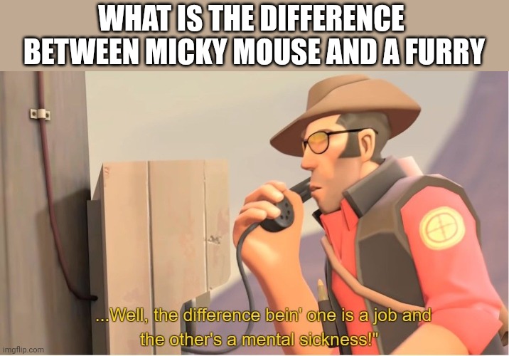 Well ones a job and the other is a mental illness | WHAT IS THE DIFFERENCE  BETWEEN MICKY MOUSE AND A FURRY | image tagged in well ones a job and the other is a mental illness | made w/ Imgflip meme maker
