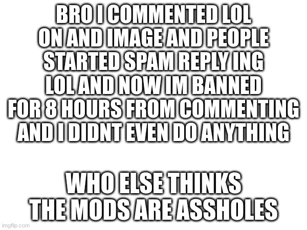 BRO I COMMENTED LOL ON AND IMAGE AND PEOPLE STARTED SPAM REPLY ING LOL AND NOW IM BANNED FOR 8 HOURS FROM COMMENTING AND I DIDNT EVEN DO ANYTHING; WHO ELSE THINKS THE MODS ARE ASSHOLES | made w/ Imgflip meme maker