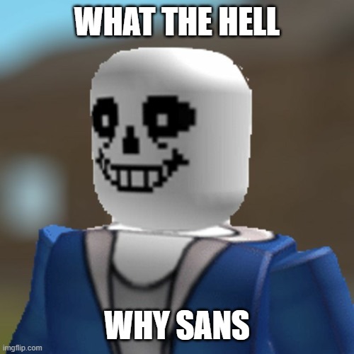 sans ROBLOX avatar | WHAT THE HELL; WHY SANS | image tagged in sans roblox avatar | made w/ Imgflip meme maker