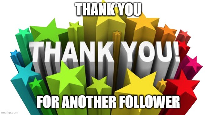 Thank you | THANK YOU; FOR ANOTHER FOLLOWER | image tagged in thank you,memes,funny memes,lolz,so yeah | made w/ Imgflip meme maker