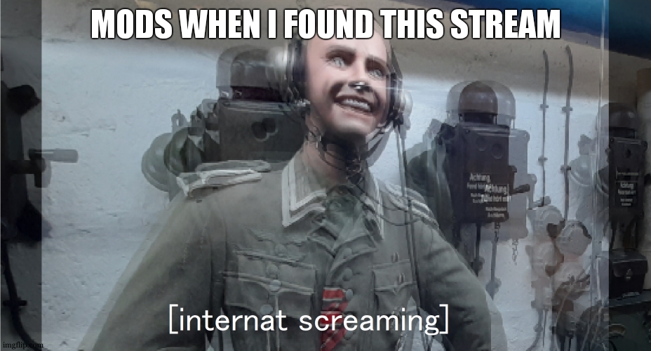 (Mod note: yeah) | MODS WHEN I FOUND THIS STREAM | image tagged in internat screaming nazis | made w/ Imgflip meme maker