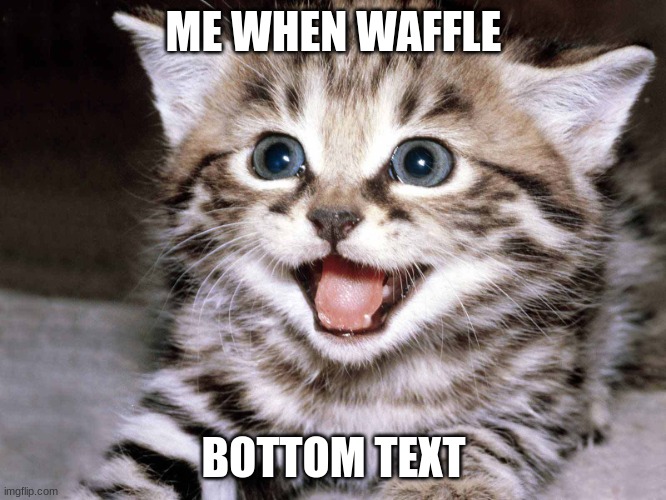 Happy Kitten | ME WHEN WAFFLE; BOTTOM TEXT | image tagged in happy kitten | made w/ Imgflip meme maker
