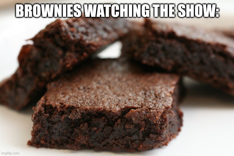 brownie | BROWNIES WATCHING THE SHOW: | image tagged in brownie | made w/ Imgflip meme maker