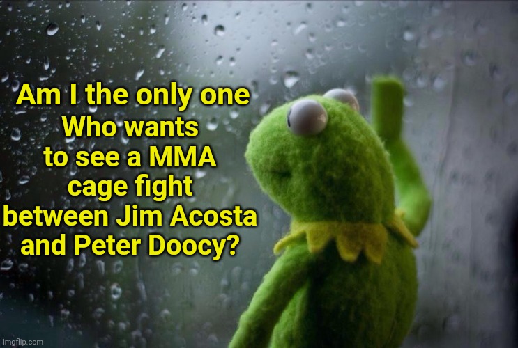 Anchordome:  Two reporters enter. One reporter leaves. | Am I the only one; Who wants to see a MMA cage fight between Jim Acosta and Peter Doocy? | image tagged in sad kermit,jim acosta,fox news,mma,cage | made w/ Imgflip meme maker