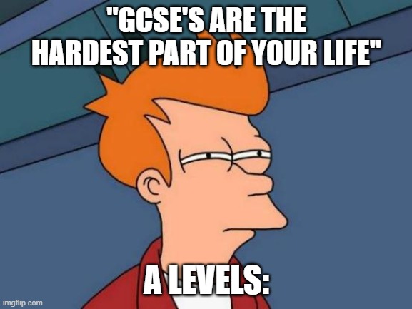 Biggest lie | "GCSE'S ARE THE HARDEST PART OF YOUR LIFE"; A LEVELS: | image tagged in memes,futurama fry,gcse,alevel | made w/ Imgflip meme maker