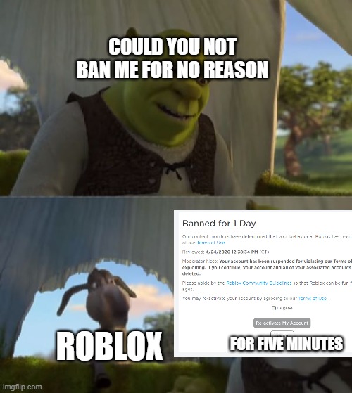Could You Not Ban Me For Five Minutes | COULD YOU NOT BAN ME FOR NO REASON; ROBLOX; FOR FIVE MINUTES | image tagged in could you not ___ for 5 minutes | made w/ Imgflip meme maker