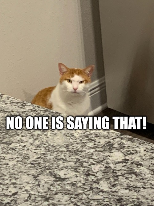 Atticus stare | NO ONE IS SAYING THAT! | image tagged in atticus stare | made w/ Imgflip meme maker