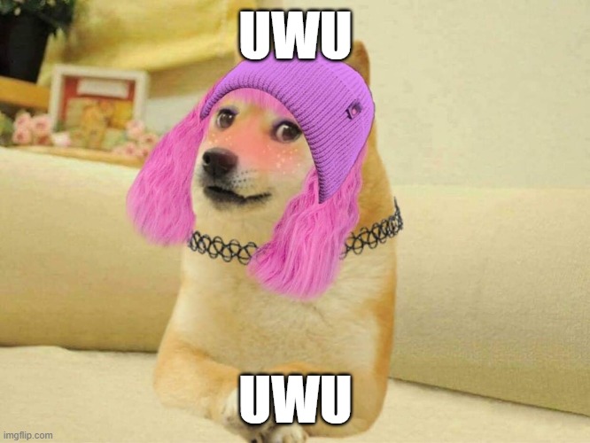 Anime doge | UWU; UWU | image tagged in e-girl dogette | made w/ Imgflip meme maker