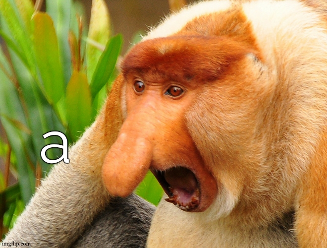 Janusz monkey screaming | a | image tagged in janusz monkey screaming | made w/ Imgflip meme maker