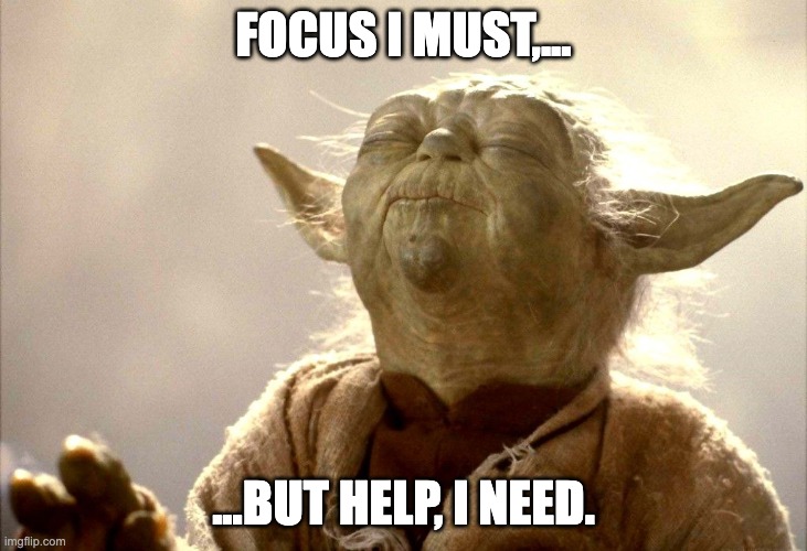Yoda focus | FOCUS I MUST,... ...BUT HELP, I NEED. | image tagged in yoda focus | made w/ Imgflip meme maker