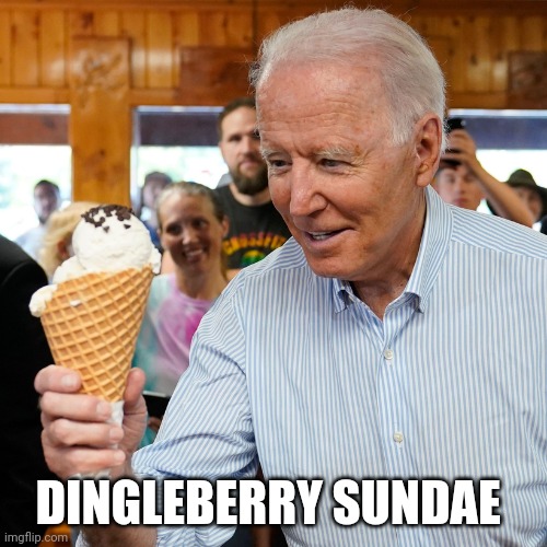 Joe biden | DINGLEBERRY SUNDAE | image tagged in joe biden | made w/ Imgflip meme maker