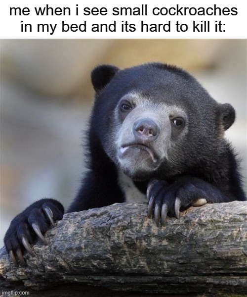 bruuuhhh | me when i see small cockroaches in my bed and its hard to kill it: | image tagged in memes,confession bear,funny | made w/ Imgflip meme maker