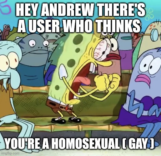Spongebob Yelling | HEY ANDREW THERE'S A USER WHO THINKS; YOU'RE A HOMOSEXUAL ( GAY ) | image tagged in spongebob yelling | made w/ Imgflip meme maker