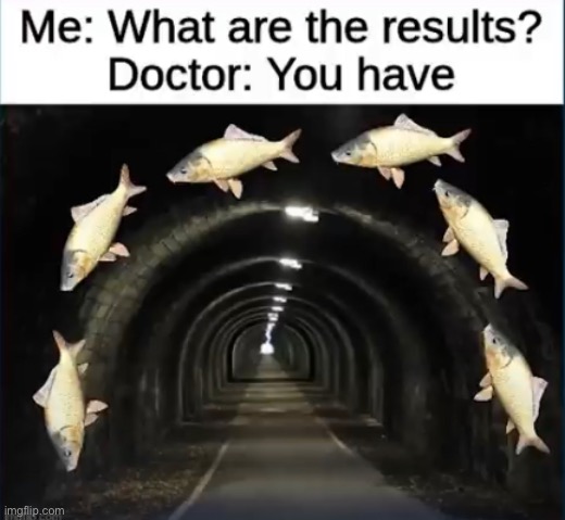 tunnel fishin? | image tagged in funny,meme,medical meme,carp,tunnel,vision | made w/ Imgflip meme maker