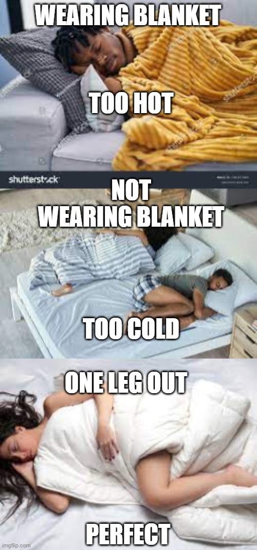 Perfect | WEARING BLANKET; TOO HOT; NOT WEARING BLANKET; TOO COLD; ONE LEG OUT; PERFECT | image tagged in sleep,blanket | made w/ Imgflip meme maker