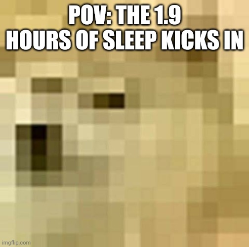 this image is totally normal. You r just sleep deprived | POV: THE 1.9 HOURS OF SLEEP KICKS IN | image tagged in blurry doge | made w/ Imgflip meme maker