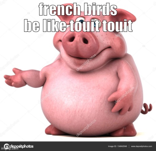 piggly wiggly | french birds be like touit touit | image tagged in piggly wiggly | made w/ Imgflip meme maker