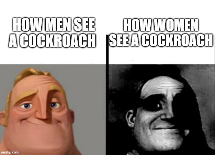 how men see vs how women see | HOW WOMEN SEE A COCKROACH; HOW MEN SEE A COCKROACH | image tagged in teacher's copy | made w/ Imgflip meme maker