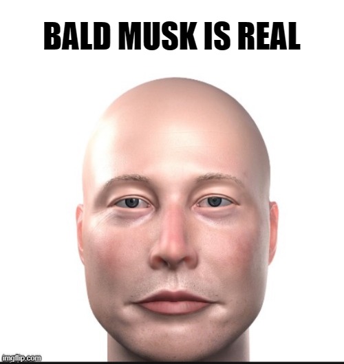 He's Real | BALD MUSK IS REAL | image tagged in funny | made w/ Imgflip meme maker